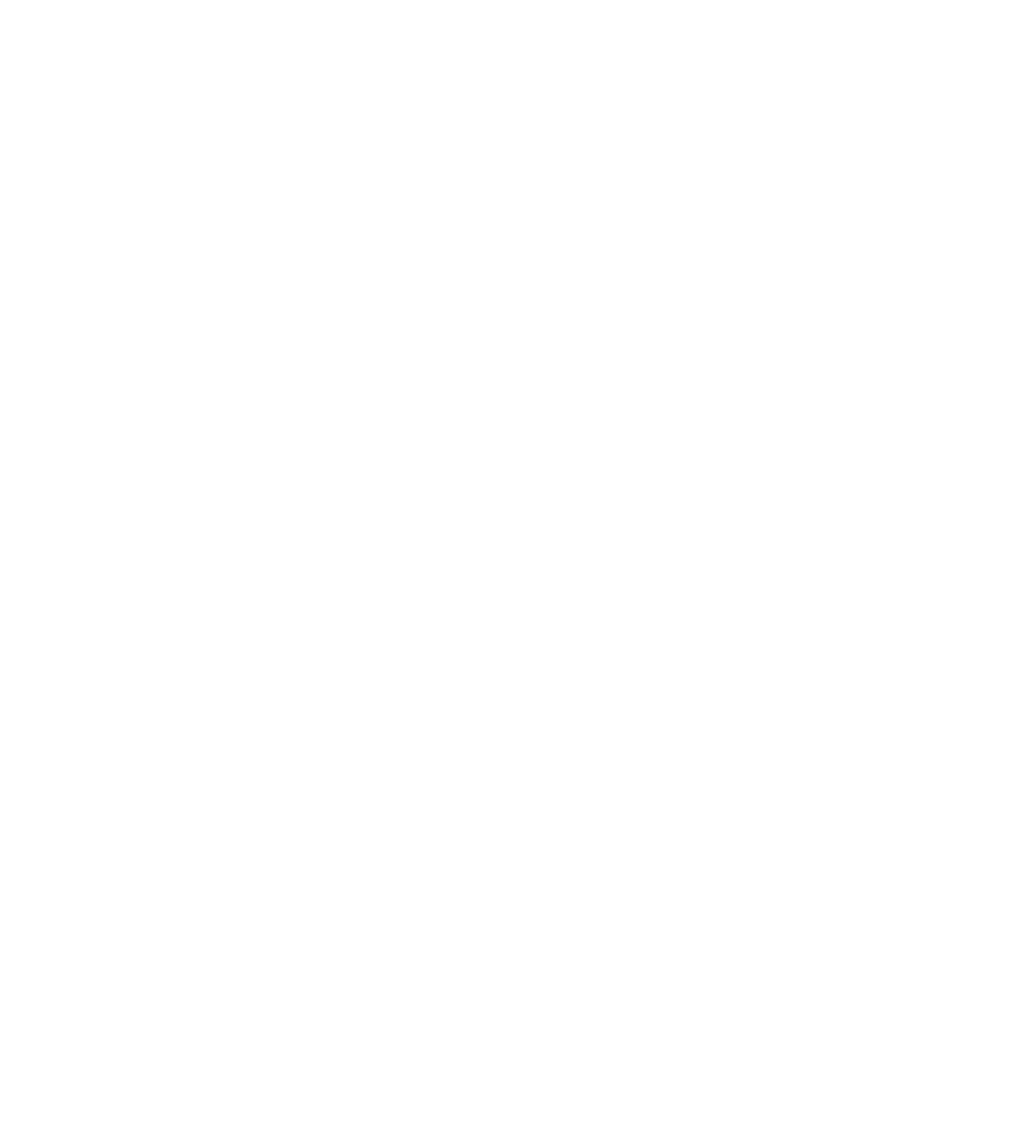 SDW logo 2025